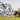 The Importance of Bearings for Brazilian Agribusiness